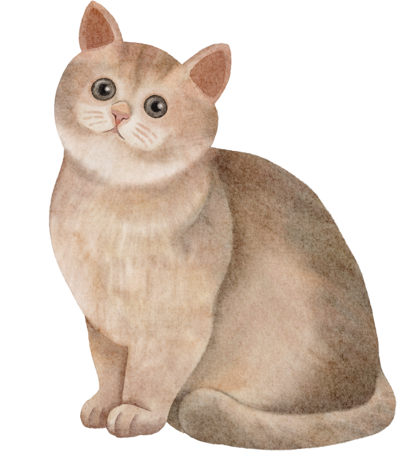watercolor cat