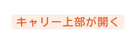 キャリー上部が開く